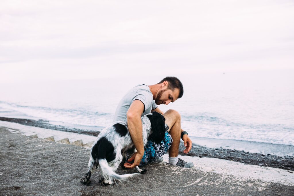 Happy male owner of russian cocker spaniel dog, feels responsibility of caring about pet