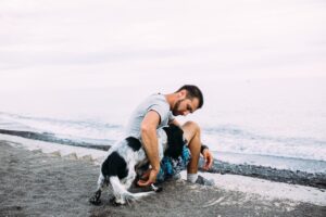 Happy male owner of russian cocker spaniel dog, feels responsibility of caring about pet